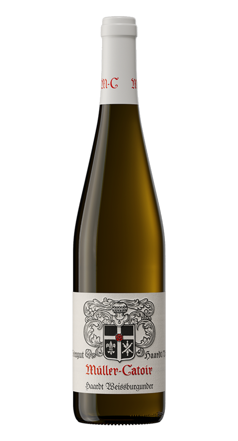Müller-Catoir Haardt Weißburgunder